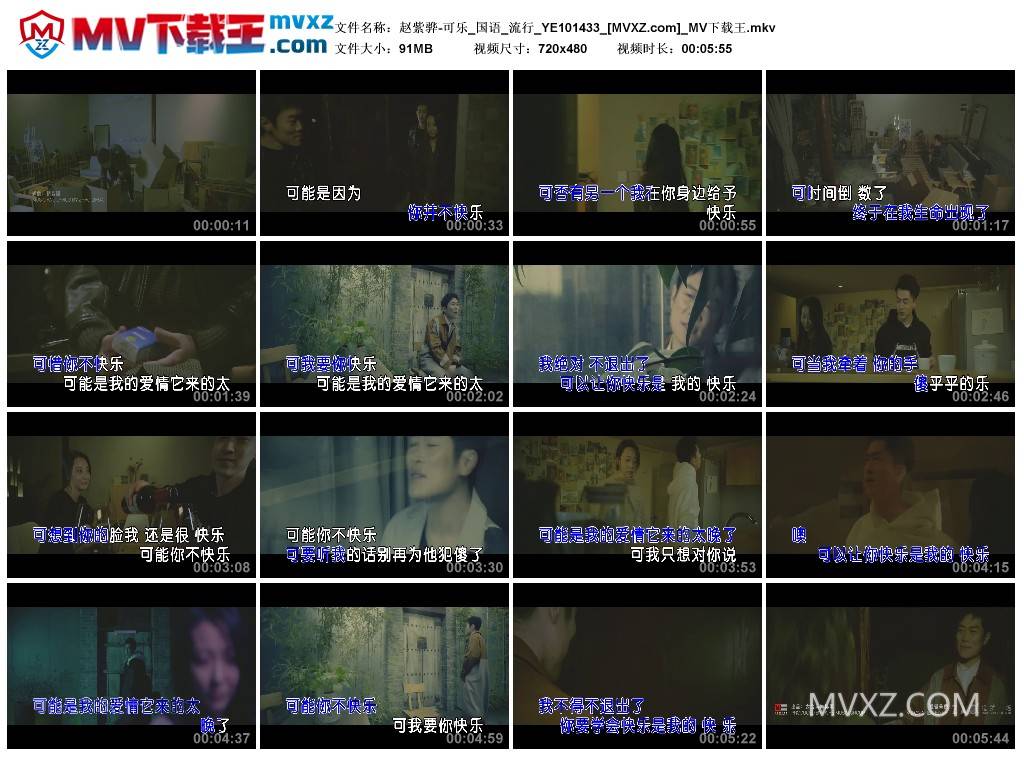 赵紫骅-可乐_国语_流行_YE101433